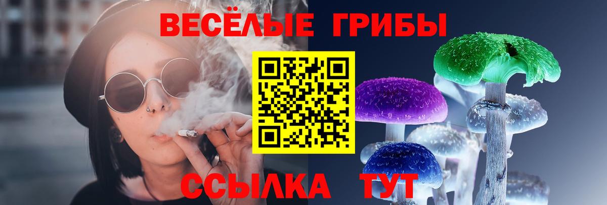 Псилоцибиновые грибы ЛСД  Вход с VPN  Электросталь 