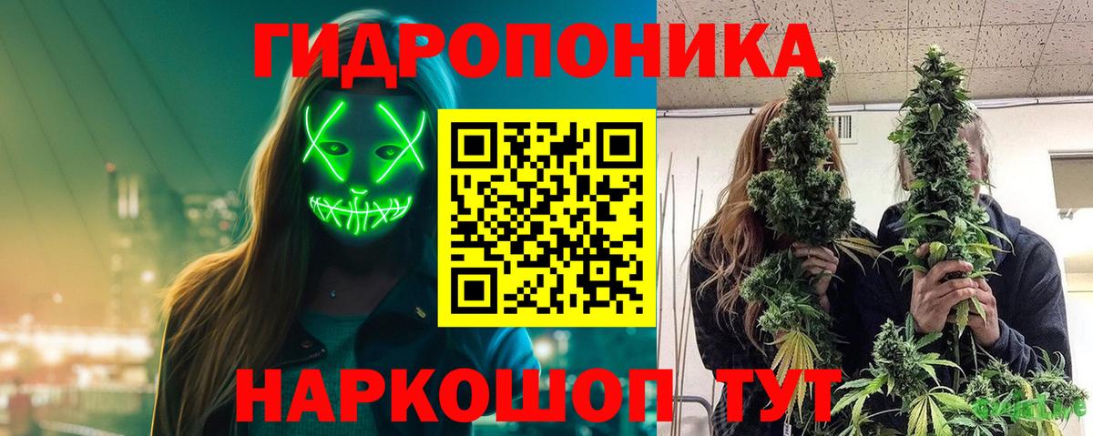 Канабис конопля  Канабис ГИДРОПОН  Вход с VPN  Электросталь  Конопля индика 